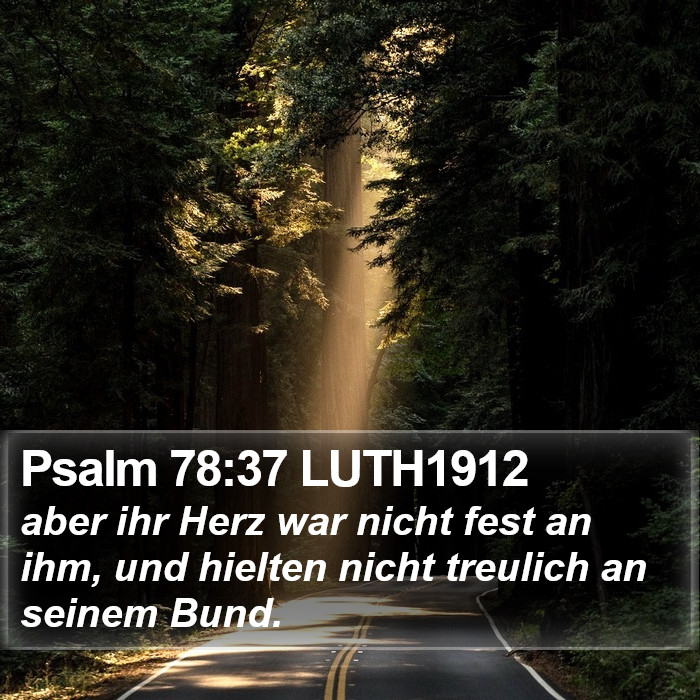 Psalm 78:37 LUTH1912 Bible Study