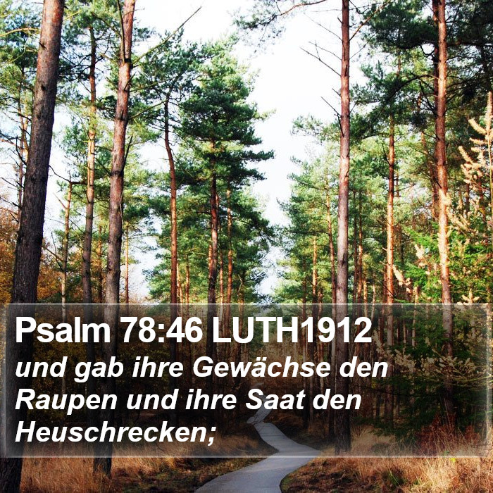 Psalm 78:46 LUTH1912 Bible Study