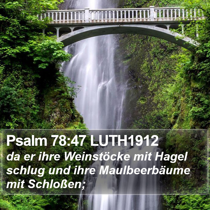 Psalm 78:47 LUTH1912 Bible Study