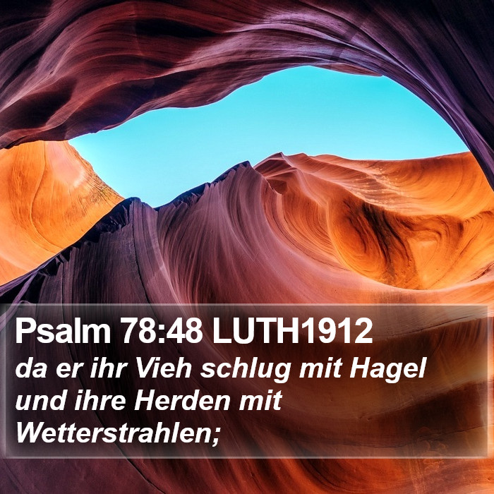 Psalm 78:48 LUTH1912 Bible Study