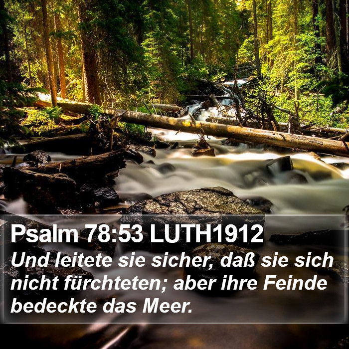 Psalm 78:53 LUTH1912 Bible Study