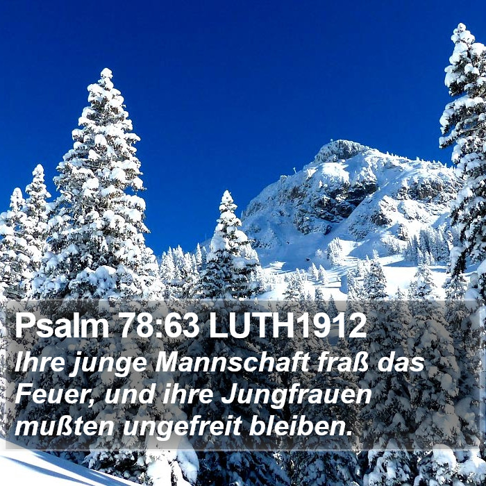 Psalm 78:63 LUTH1912 Bible Study