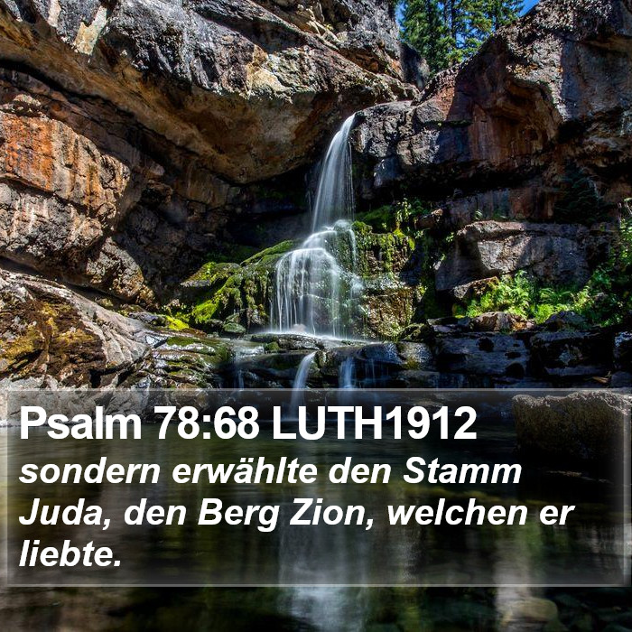 Psalm 78:68 LUTH1912 Bible Study