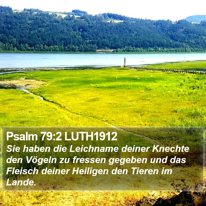 Psalm 79:2 LUTH1912 Bible Study