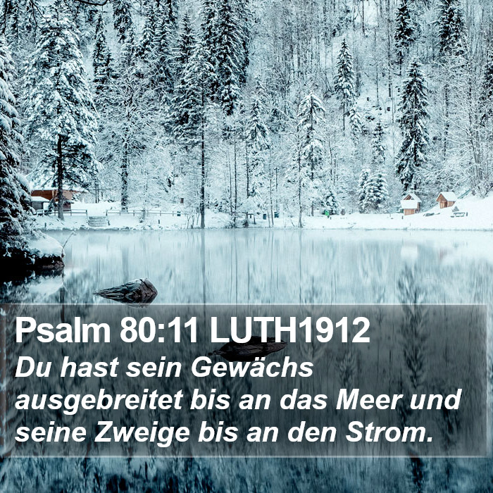 Psalm 80:11 LUTH1912 Bible Study