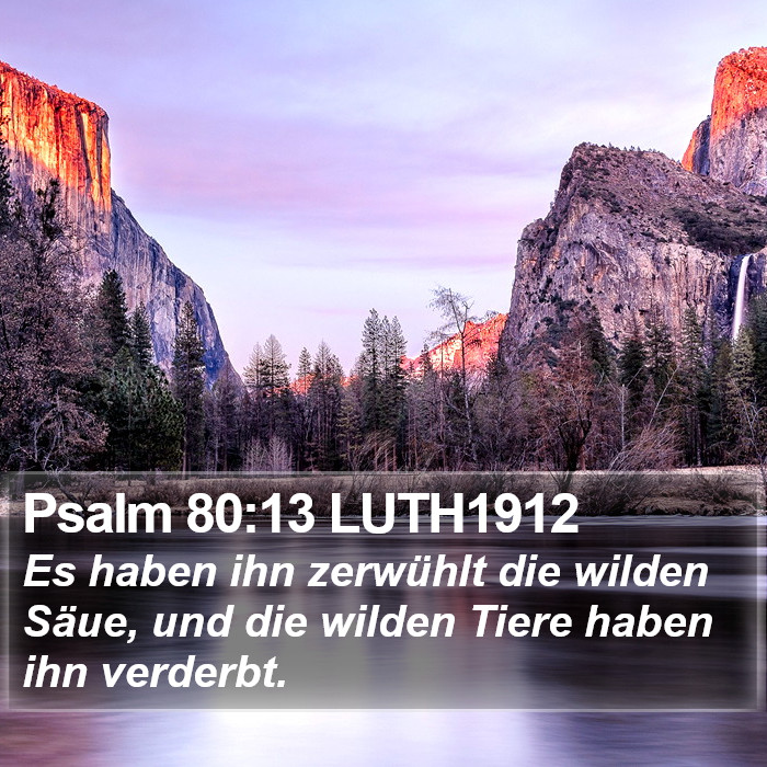 Psalm 80:13 LUTH1912 Bible Study