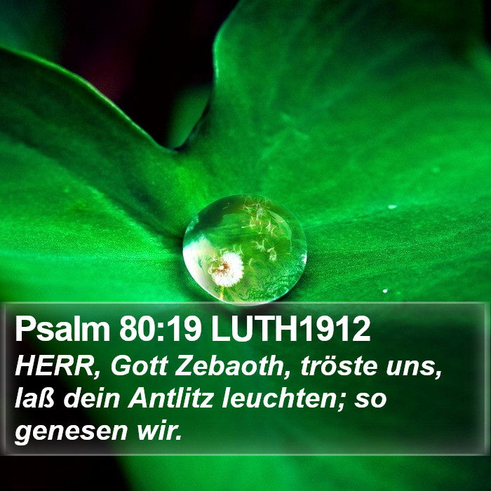Psalm 80:19 LUTH1912 Bible Study