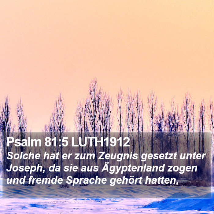 Psalm 81:5 LUTH1912 Bible Study