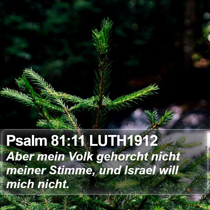 Psalm 81:11 LUTH1912 Bible Study