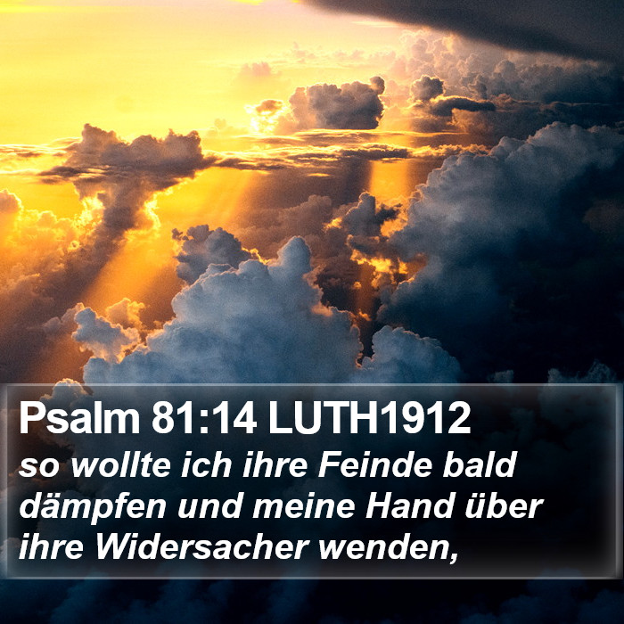Psalm 81:14 LUTH1912 Bible Study