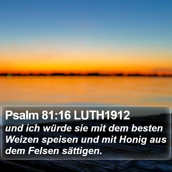 Psalm 81:16 LUTH1912 Bible Study