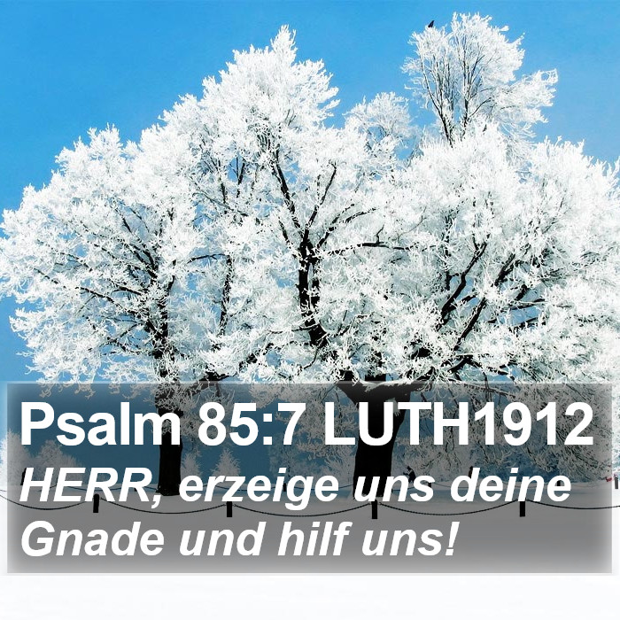 Psalm 85:7 LUTH1912 Bible Study