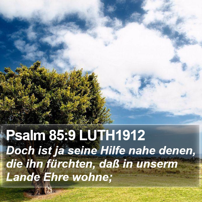 Psalm 85:9 LUTH1912 Bible Study