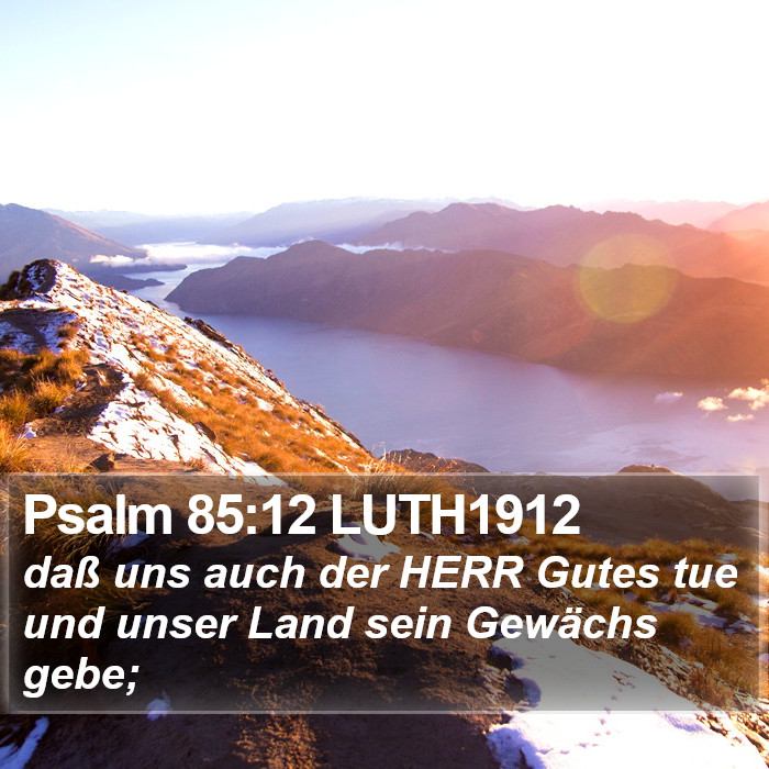 Psalm 85:12 LUTH1912 Bible Study