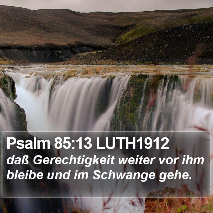 Psalm 85:13 LUTH1912 Bible Study