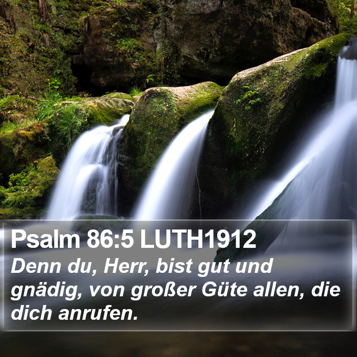 Psalm 86:5 LUTH1912 Bible Study