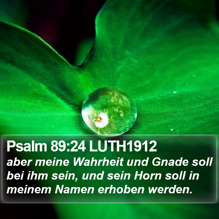 Psalm 89:24 LUTH1912 Bible Study