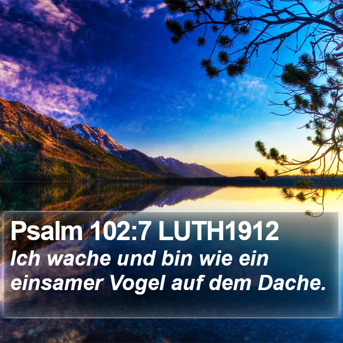 Psalm 102:7 LUTH1912 Bible Study