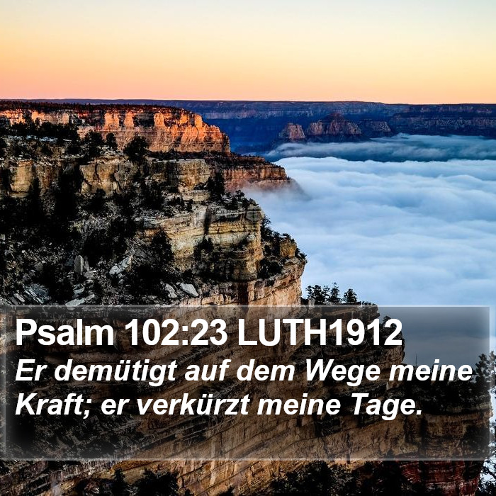 Psalm 102:23 LUTH1912 Bible Study