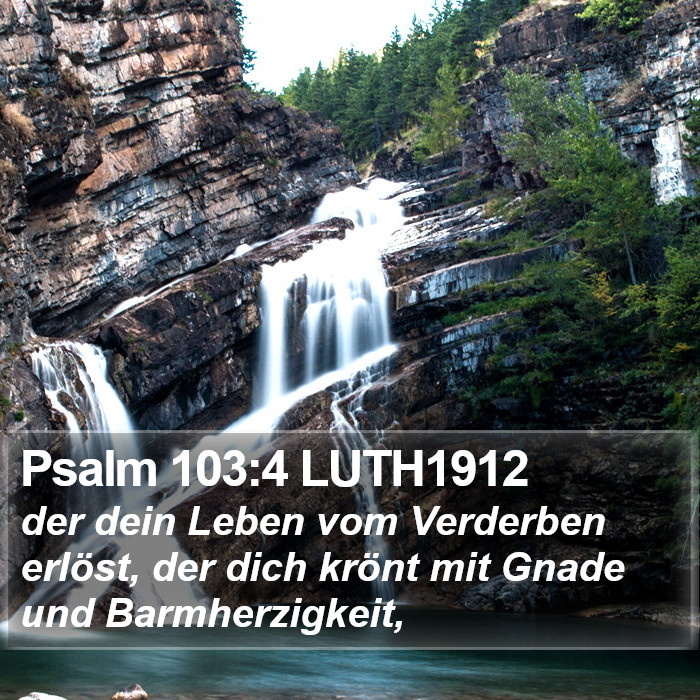 Psalm 103:4 LUTH1912 Bible Study
