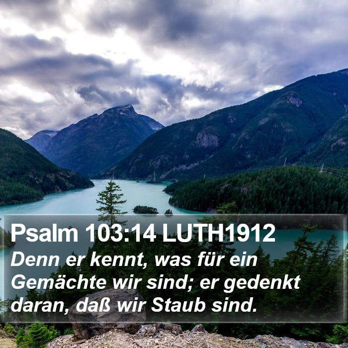 Psalm 103:14 LUTH1912 Bible Study