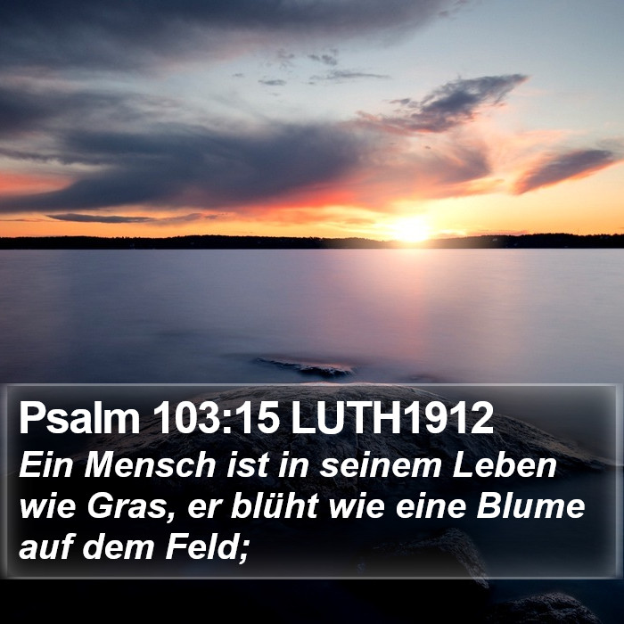 Psalm 103:15 LUTH1912 Bible Study