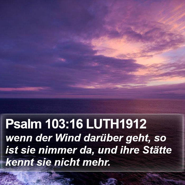 Psalm 103:16 LUTH1912 Bible Study