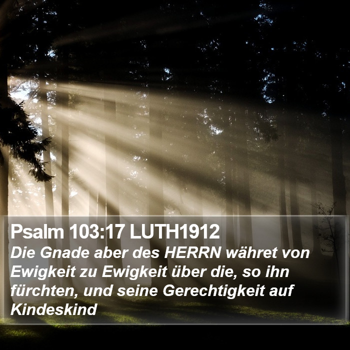 Psalm 103:17 LUTH1912 Bible Study