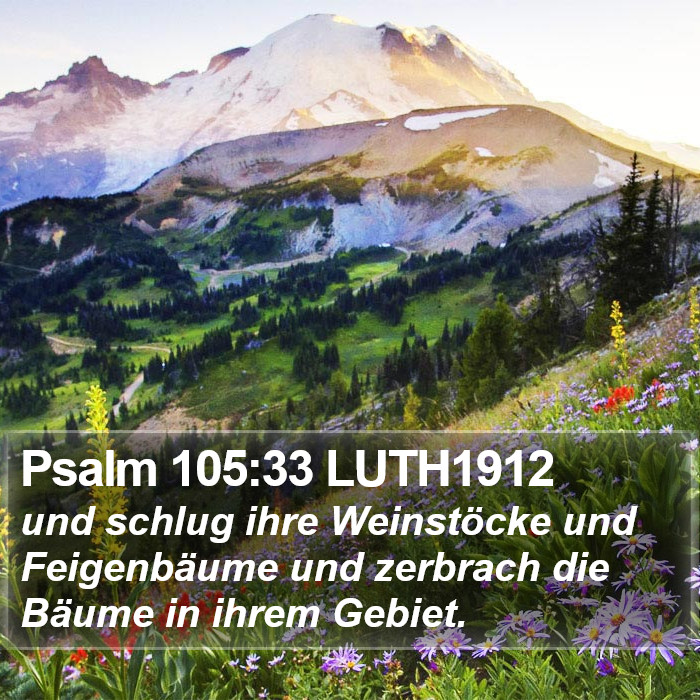 Psalm 105:33 LUTH1912 Bible Study