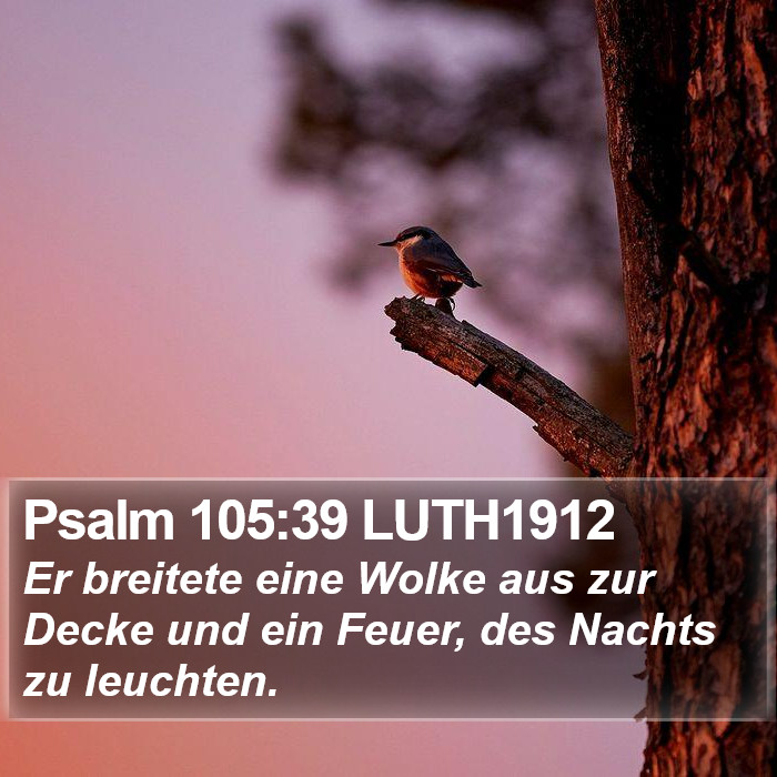 Psalm 105:39 LUTH1912 Bible Study