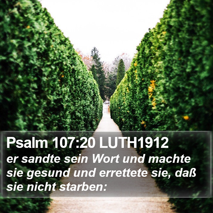 Psalm 107:20 LUTH1912 Bible Study
