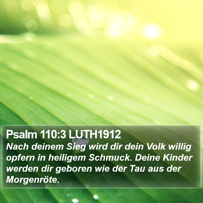 Psalm 110:3 LUTH1912 Bible Study