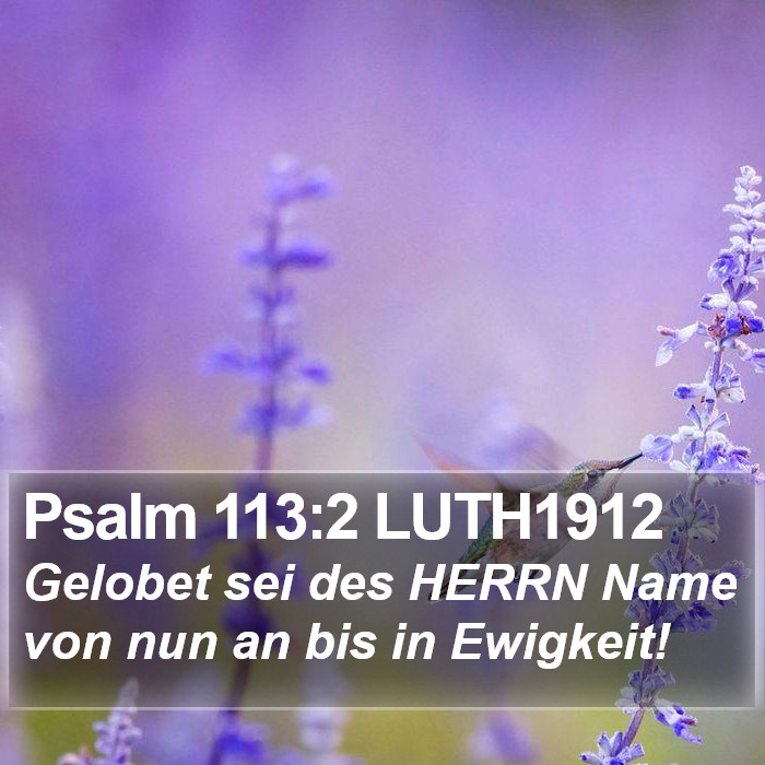 Psalm 113:2 LUTH1912 Bible Study