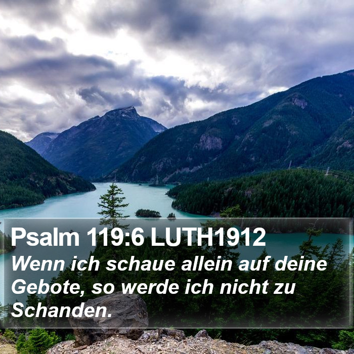 Psalm 119:6 LUTH1912 Bible Study