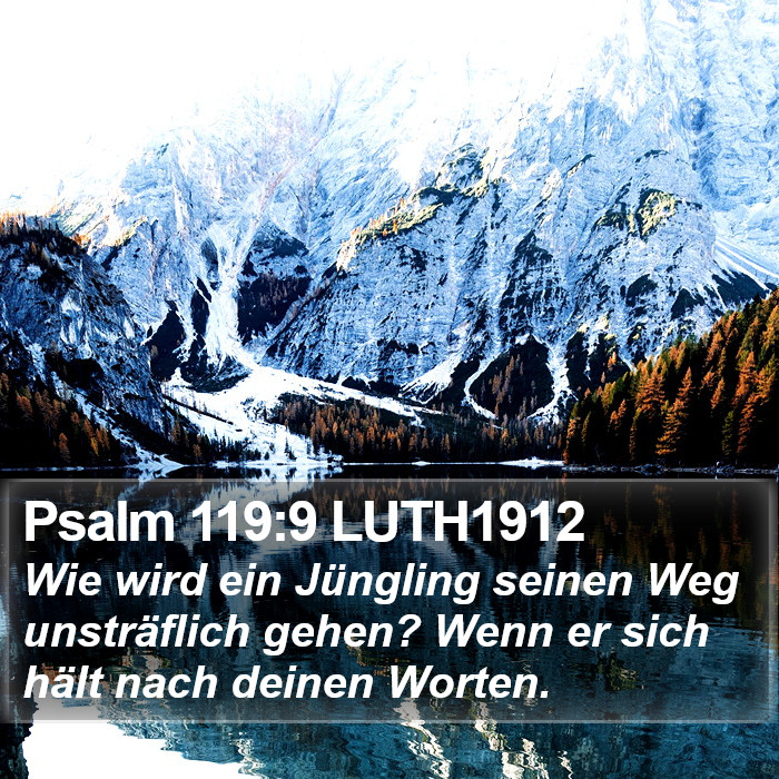 Psalm 119:9 LUTH1912 Bible Study