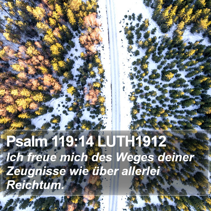Psalm 119:14 LUTH1912 Bible Study