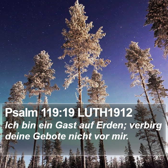 Psalm 119:19 LUTH1912 Bible Study