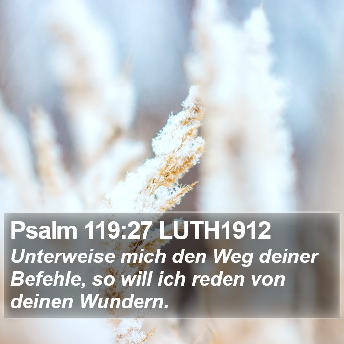 Psalm 119:27 LUTH1912 Bible Study