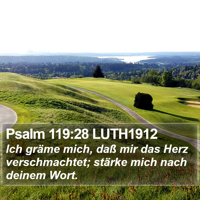 Psalm 119:28 LUTH1912 Bible Study