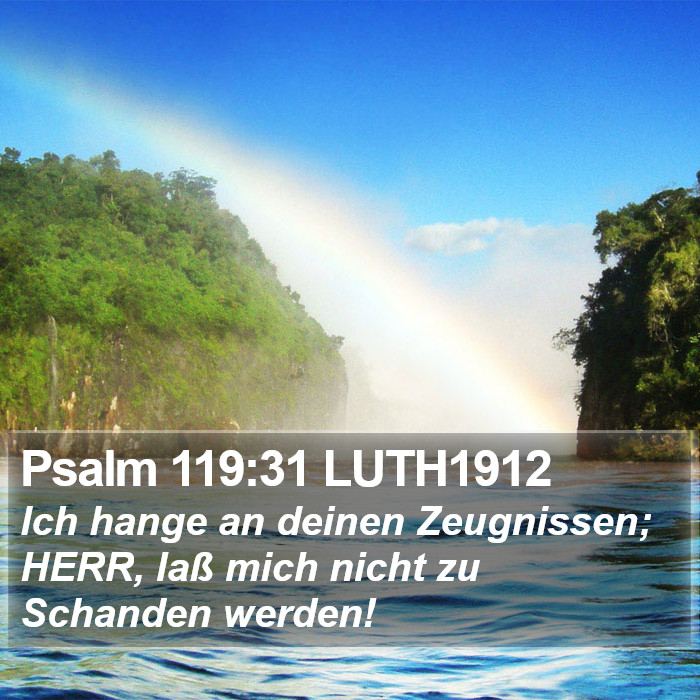 Psalm 119:31 LUTH1912 Bible Study