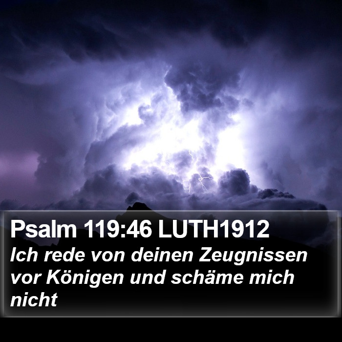 Psalm 119:46 LUTH1912 Bible Study