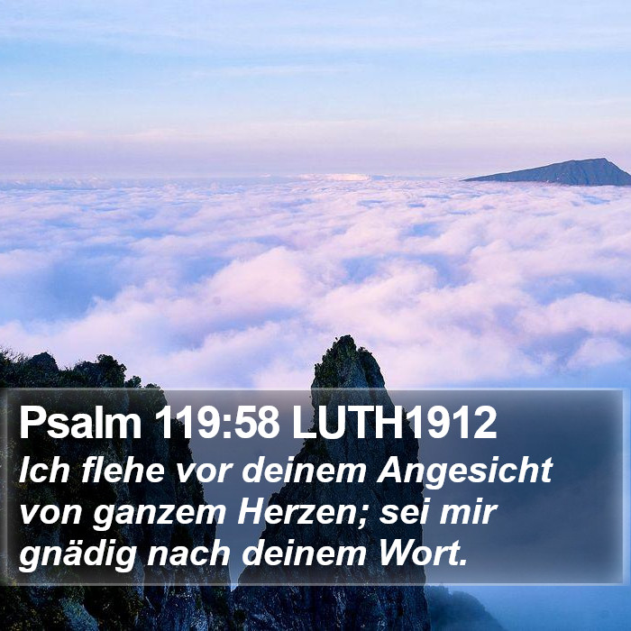 Psalm 119:58 LUTH1912 Bible Study