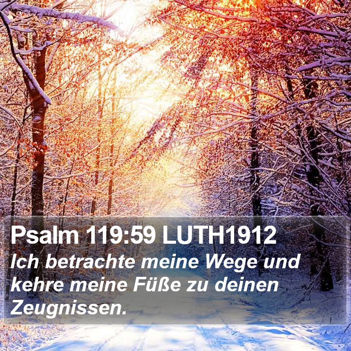 Psalm 119:59 LUTH1912 Bible Study