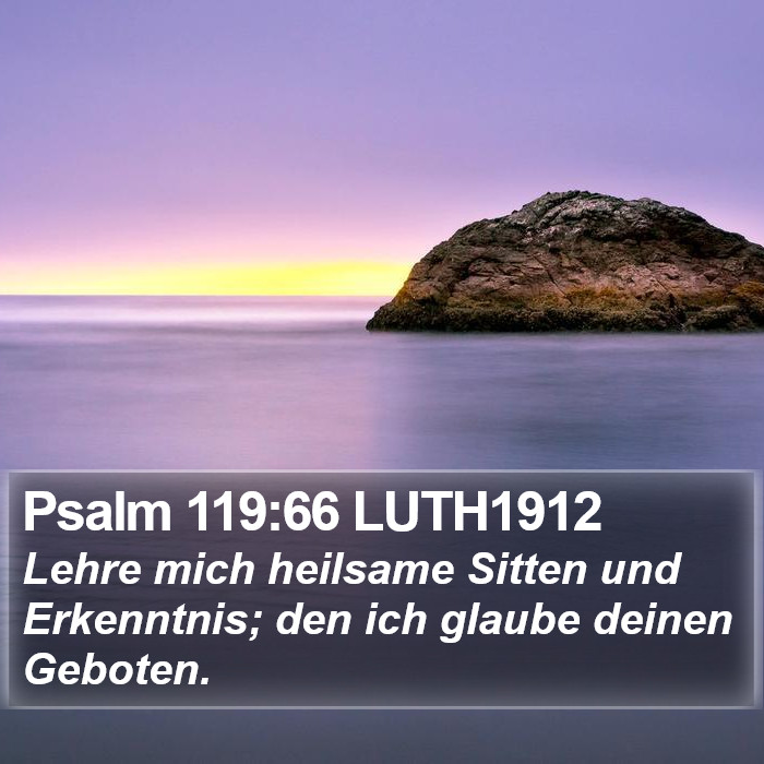 Psalm 119:66 LUTH1912 Bible Study