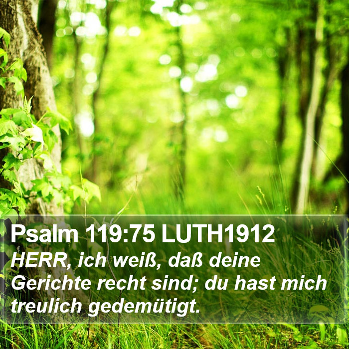 Psalm 119:75 LUTH1912 Bible Study