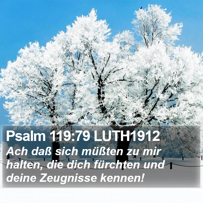 Psalm 119:79 LUTH1912 Bible Study