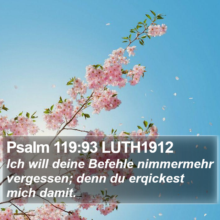 Psalm 119:93 LUTH1912 Bible Study