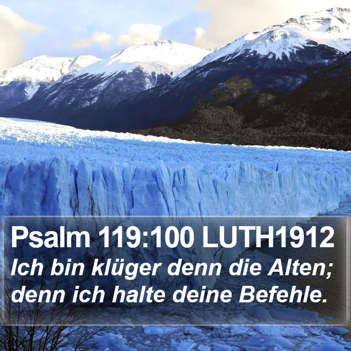 Psalm 119:100 LUTH1912 Bible Study