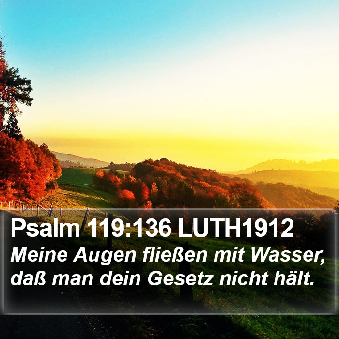 Psalm 119:136 LUTH1912 Bible Study