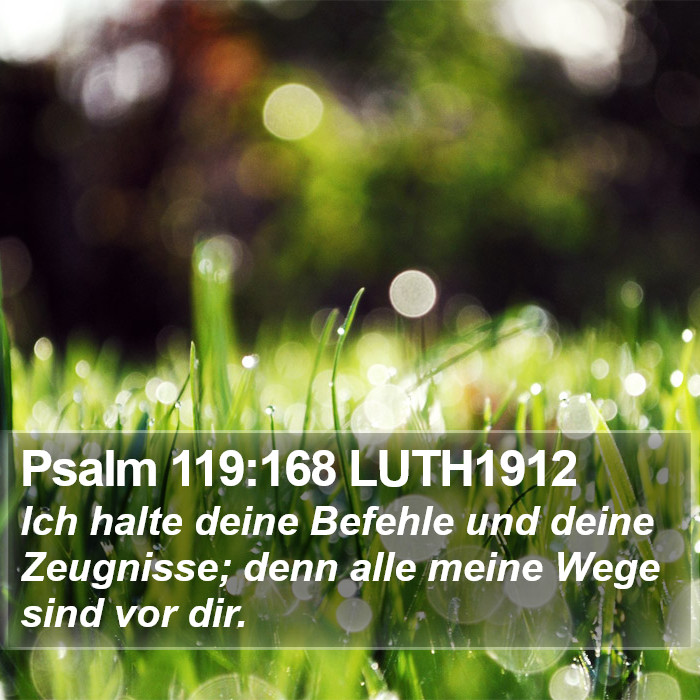 Psalm 119:168 LUTH1912 Bible Study